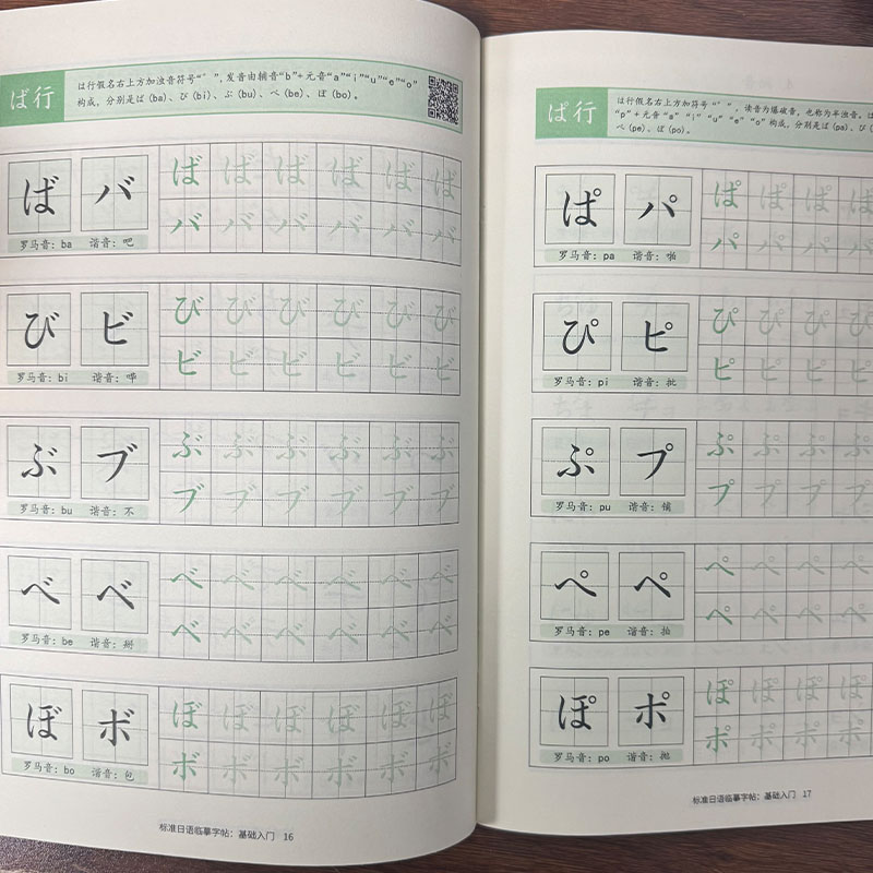 Japanese Hiragana & Katakana P - Chinese Calligraphy Practice Book review and price